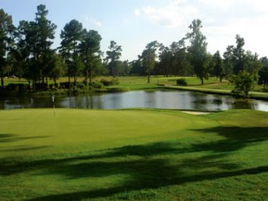 Shannon Greens Golf Club