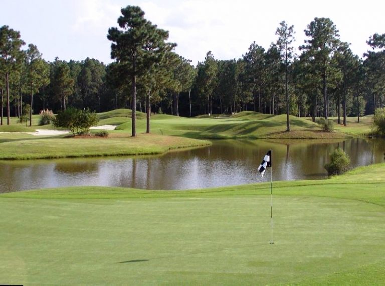 Golf courses in and around Santee, South Carolina Golf courses in and around Santee, South Carolina
