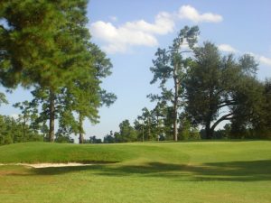 Shannon Greens Golf Club