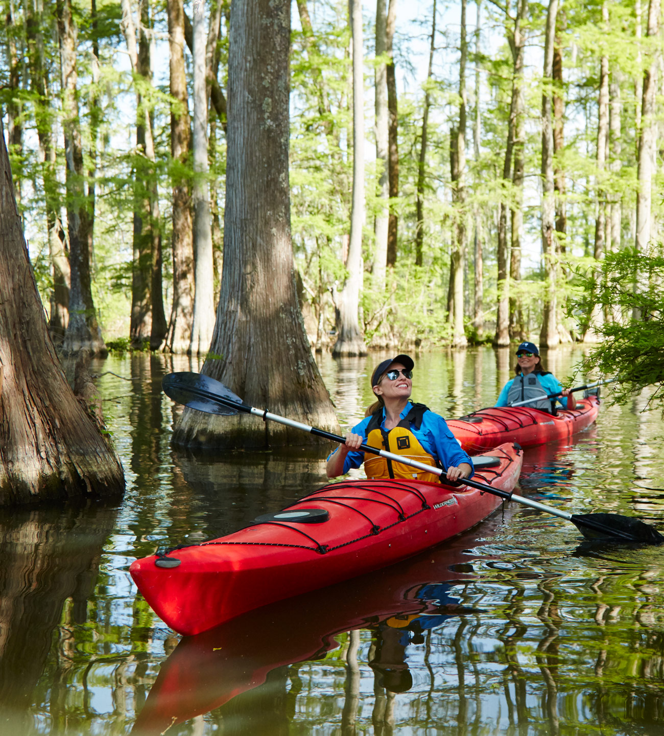 two women kayaking among cypress trees