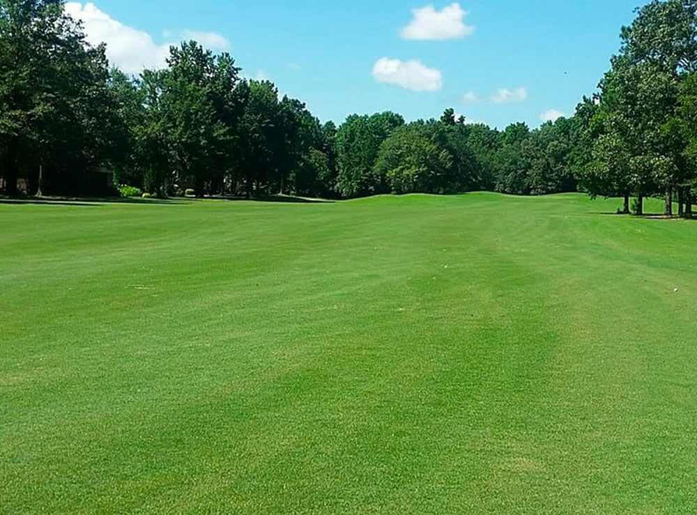 Fairway at Players Club at Wyboo