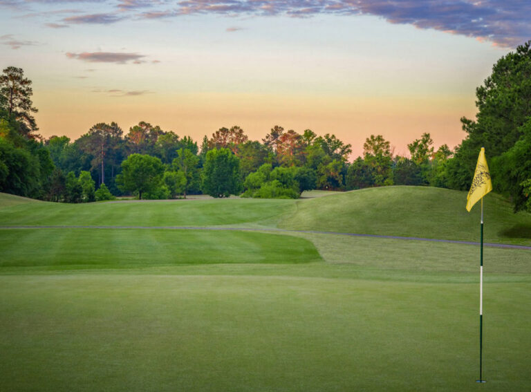 Golf courses in and around Santee, South Carolina Golf courses in and around Santee, South Carolina